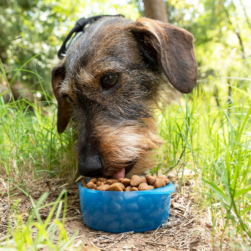 Load image into Gallery viewer, 2-in-1 bottle with water and food containers for pets Pettap
