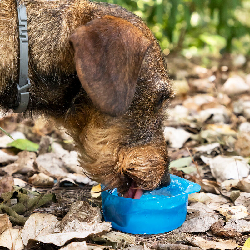 Load image into Gallery viewer, 2-in-1 bottle with water and food containers for pets Pettap
